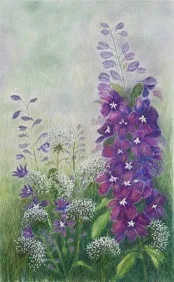 My Delphenium
Colored Pencil Sold
