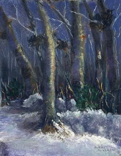 "Frozen Journey"
Pastel 11x14
My reference