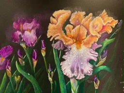"My Iris Garden"
11x10 colored pencil
From my iris garden, SOLD