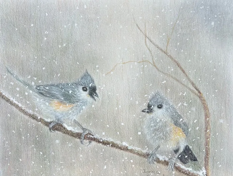 Titmouse Chatter
Colored pencil/ink